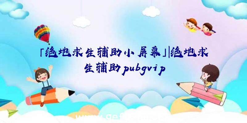 「绝地求生辅助小屏幕」|绝地求生辅助pubgvip